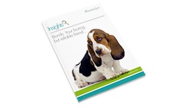 Bonds: Your boring but reliable friend